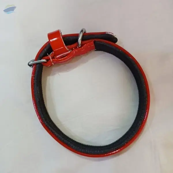 Dog COL -1