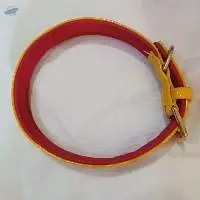 Dog COL -2