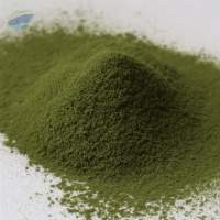 Japanese Matcha Powder Standard to Premium