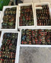 Premium Export Quality Live & FreshCrabs
