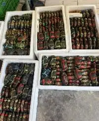 Premium Export Quality Live & FreshCrabs