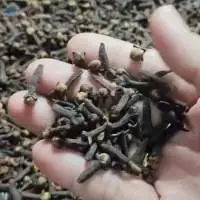 Premium Whole Dried Indonesian Cloves