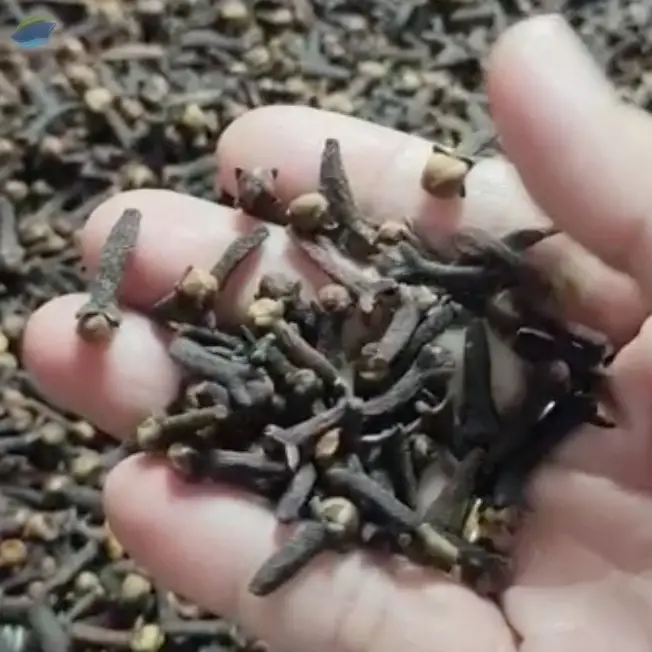 Premium Whole Dried Indonesian Cloves