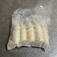 Premium Frozen White Squid Wild-Caught