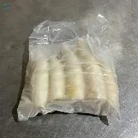 Premium Frozen White Squid Wild-Caught