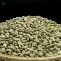 Indonesian Robusta Coffee Beans G2 S18