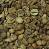 Indonesian Robusta Coffee Beans G3 S18
