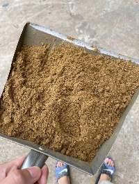 Fish Meal
