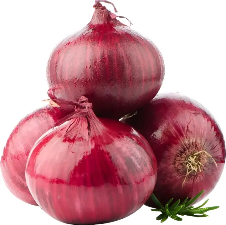 Fresh Red Onion