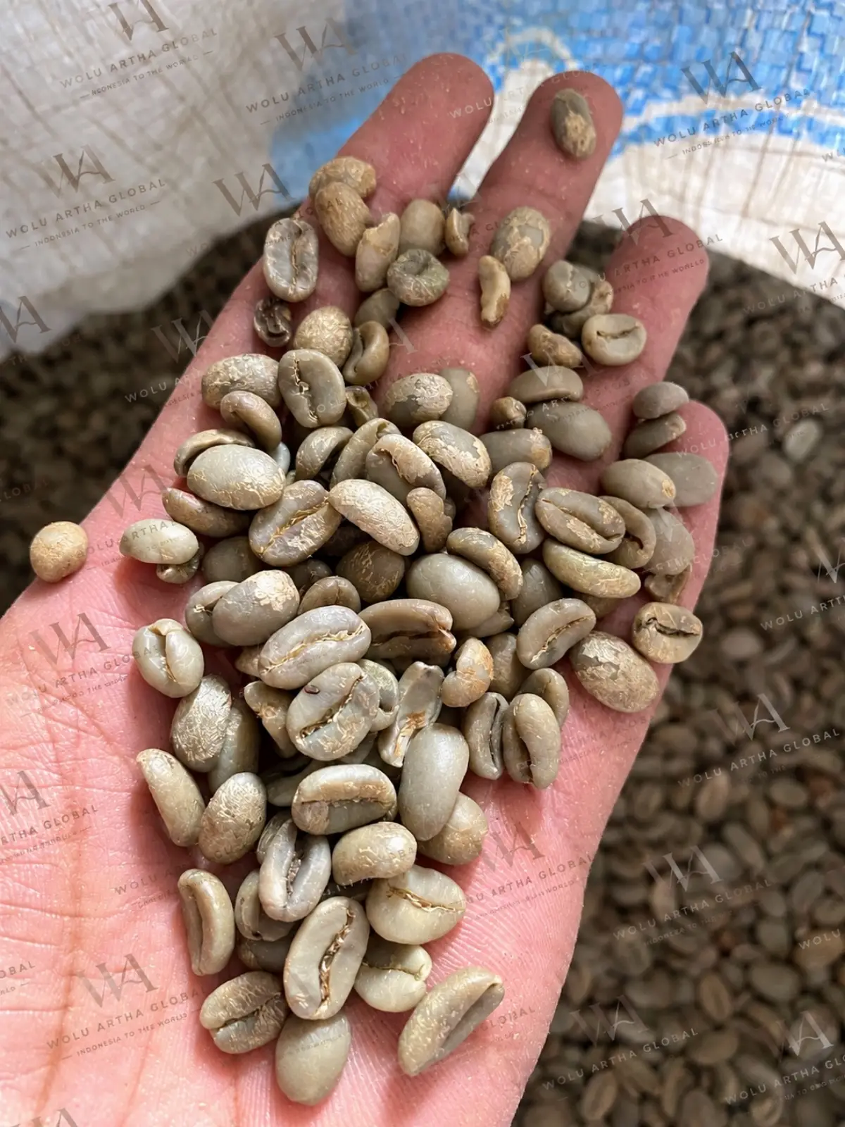 Arabica Green Coffee Beans Grade 1 Full Wash