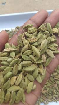 Premium Green Cardamom (Size 7-8mm)