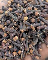 Premium Cloves (Hand-Picked / Grade A)