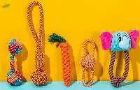 Pet Chewing Toys