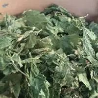 Mulberry Leaves