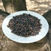 Black Pepper (Piper Ningrum)