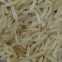 1509 Basmati Rice