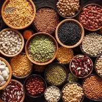 Canadian Whole Red Lentils (Crimson)