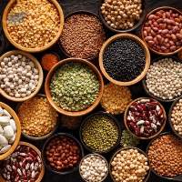Premium Dried Lentils for Bulk Food Supply
