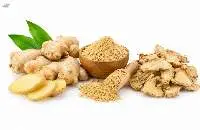 Ginger Fresh/Dried/Powder