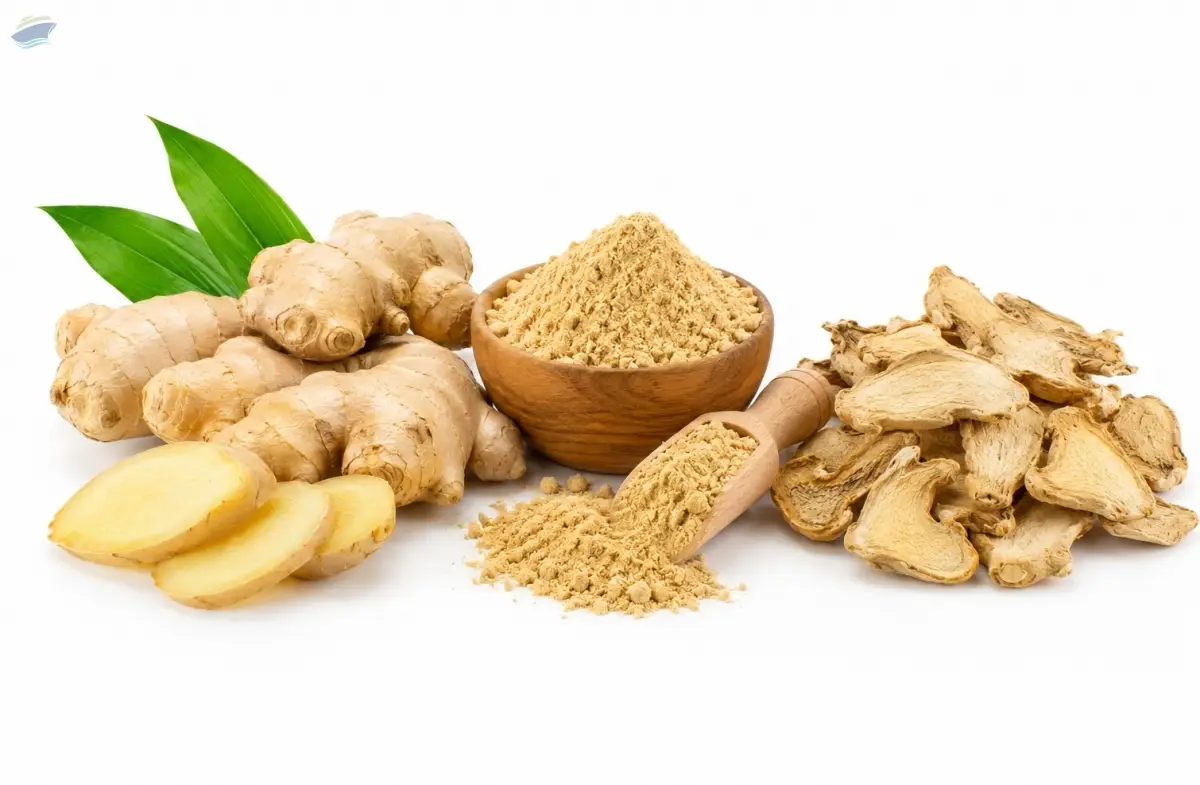 Ginger Fresh/Dried/Powder