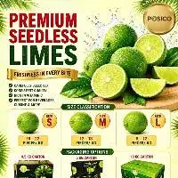 Fresh Seedless Lime From Vietnam | Posico