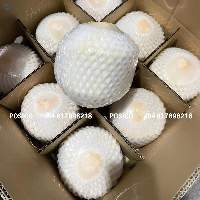 Posico - Diamond Cut Fresh Coconut From Vietnam