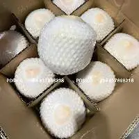 Posico - Diamond Cut Fresh Coconut From Vietnam