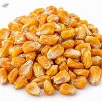 Dried Sweet Corn