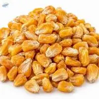 Dried Sweet Corn