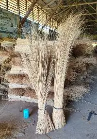 Nipah Btoom Stick