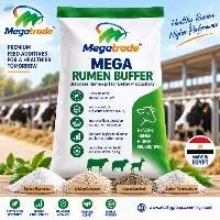 Export Grade Quality Mega Rumen Buffer