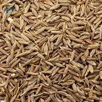 Cumin