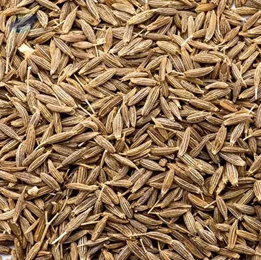 Cumin