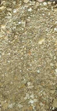 Acid Casein Raw Material