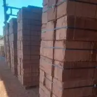 Coco Peat