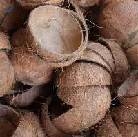 Coconut Shell