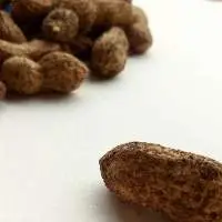 Premium Raw Peanuts In Shell Export Quality