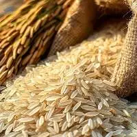 Premium Ponni Raw White Rice Export Quality 