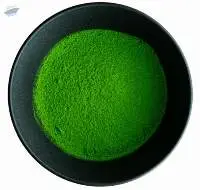 Yame Matcha ~Okumidori Single Origin 2026
