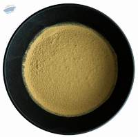 Yame Hojicha Powder