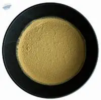 Yame Hojicha Powder