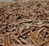 Indonesian Wood Pellet
