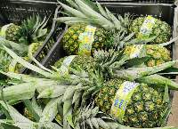 Pineapple