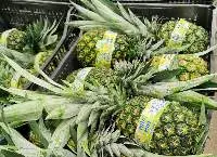 Pineapple