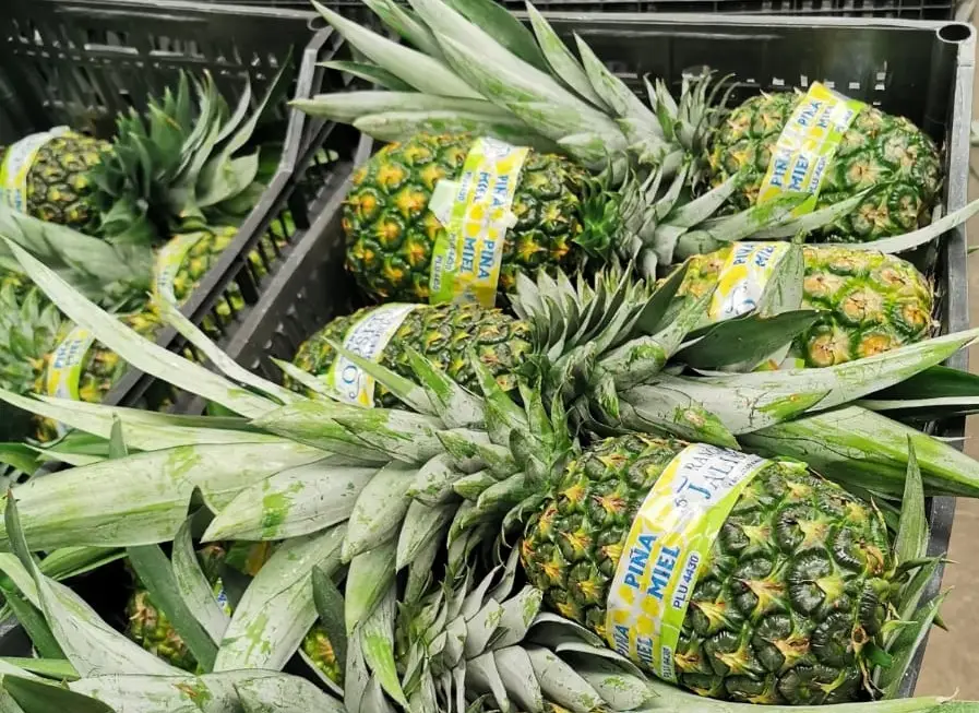 Pineapple