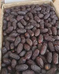 Safawi Dates From Madinah