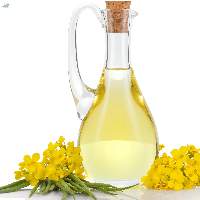 Premium Quality Crude Rapeseed Oil