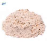 Premium Quality Vital Wheat Gluten