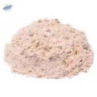 Premium Quality Vital Wheat Gluten