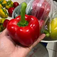 Fresh Bell Pepper (Red, Yellow & Green)